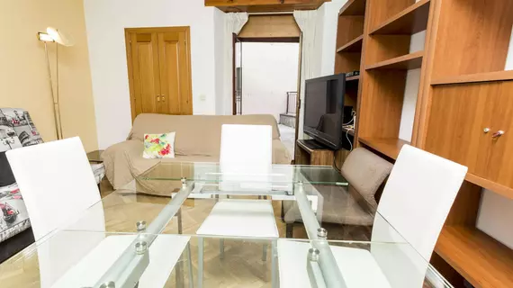 Apartamentos Castilla y Leon | Kastilya ve Leon - Salamanca (vilayet) - Campo de Salamanca - Salamanca - Centro