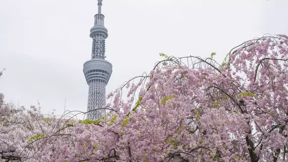 Asakusa Shinobi House | Tokyo (ve civarı) - Taito