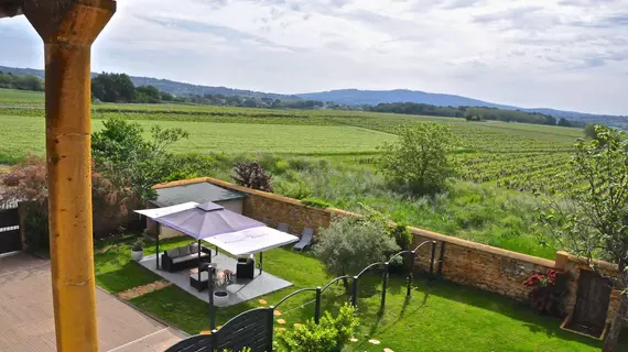 Le Clos du Cher en Beaujolais | Auvergne-Rhone-Alpes - Rhone (bölge) - Saint-Germain-Nuelles