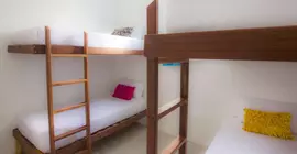 Beds Friends Hostel | Quintana Roo - Cozumel