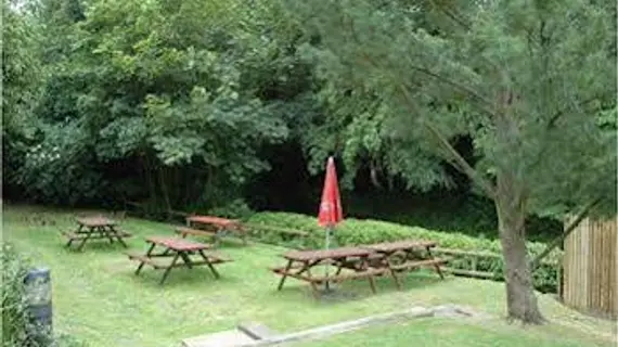 The Red Lion | Surrey (kontluk) - Betchworth