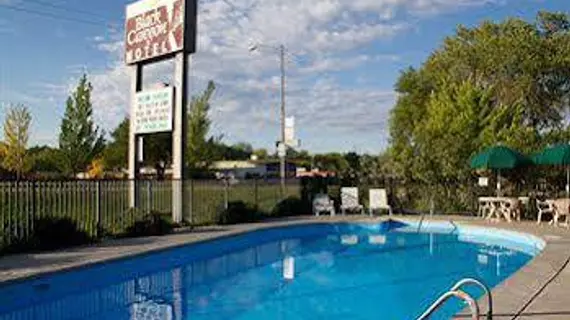 Black Canyon Motel | Kolorado - Ouray County - Montrose (ve civarı) - Montrose