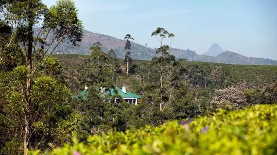 Ceylon Tea Trails | Merkez Vilayet - Nuwara Eliya Bölgesi - Hatton