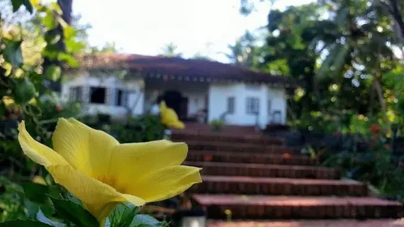 Templeberg Villa | Southern Province - Galle Bölgesi - Padinnoruwa