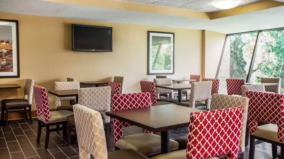 Comfort Inn Arlington Heights Chicago | İllinois - Chicago (ve civarı) - Arlington Heights