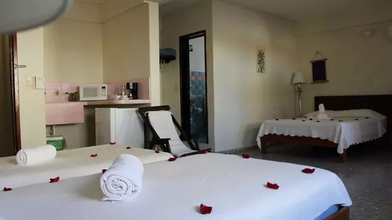 Hotel Delfin | Quintana Roo - Solidaridad - Playa del Carmen - Centro