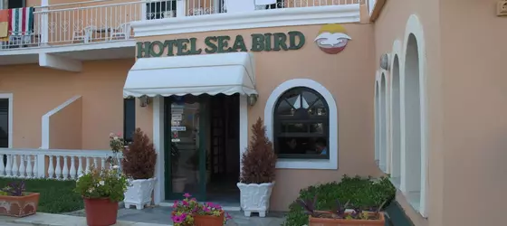 Sea Bird Hotel | İyon Adaları - Korfu - Moraitika