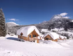 AlpenParks Hagan Lodge Altaussee | Styria - Altaussee