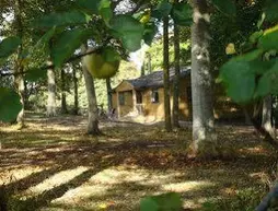 The Apple Wood | Wiltshire (kontluk) - Warminster - Heytesbury