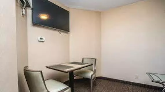 Best Western Plus Ottawa City Centre | Ontario - Ottawa (ve civarı) - Ottawa