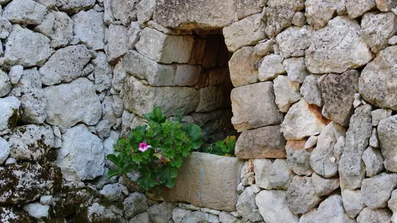 Tenuta Pigliano | Puglia - Lecce (il) - Bagnolo del Salento