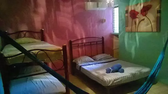 Mayan Hostel | Quintana Roo - Benito Juárez - Cancun (ve civarı) - Cancun - Cancun Merkezi