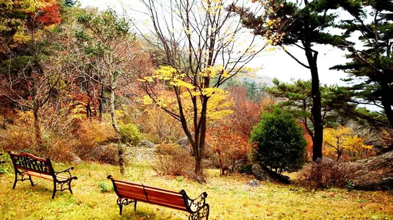 Neuraengigol | Güney Jeolla - Suncheon (ve civarı) - Gwangyang