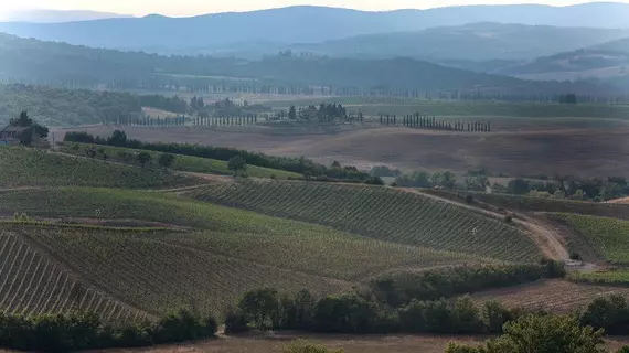 Agriturismo A. Bonacchi | Toskana - Siena (vilayet) - Montalcino