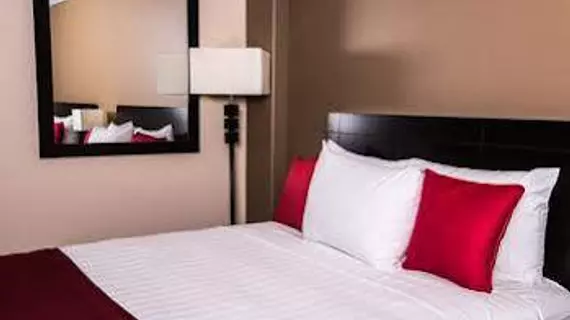 Paradise Inn & Conference Centre | Alberta - Grande Prairie (ve civarı) - Grande Prairie