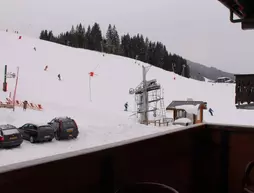 Chalet Hôtel Aiguille Blanche | Auvergne-Rhone-Alpes - Haute-Savoie (bölge) - Les Gets