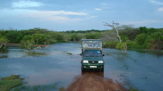 Mahoora Tented Safari Camp - Bundala | Southern Province - Hambantota Bölgesi - Hambantota