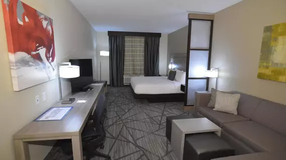 BEST WESTERN Plus Houston I45 North Inn and Suites | Teksas - Houston (ve civarı) - Houston