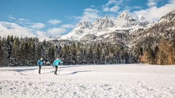 fairhotel hochfilzen | Tirol - Kitzbühel District - Kitzbuehel (ve civarı) - Hochfilzen