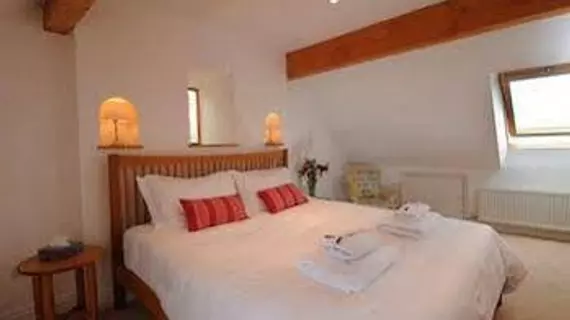 Bodhi House Bed and Breakfast | Somerset - Bath (ve civarı) - Bath