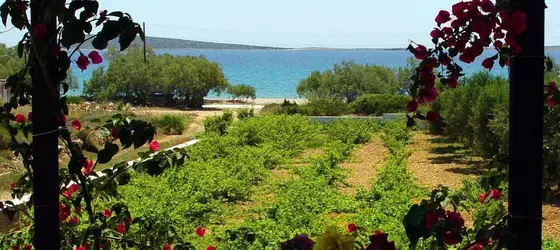 Michalis Apartments | Ege Adaları - Paros