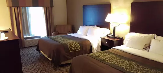 Comfort Inn | Indiana - Fort Wayne (ve civarı) - Huntington