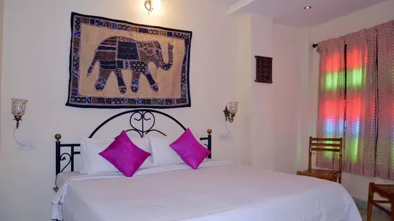 Lake View Paying Guesthouse | Racastan - Udaipur Bölgesi - Udaipur - Udaypur