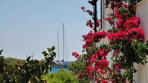 Michalis Apartments | Ege Adaları - Paros