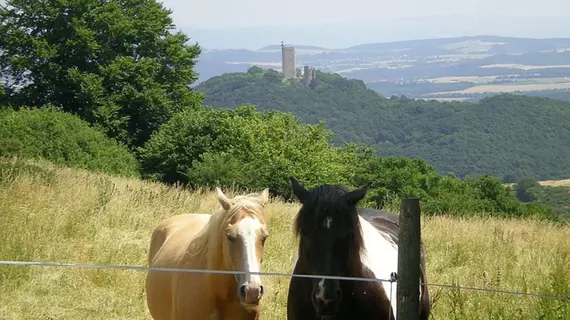 Hotel und Landgasthof Zum Bockshahn | Rhineland-Palatinate - Spessart