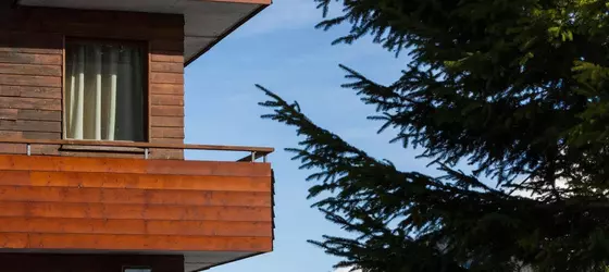 Hotel le Viking | Auvergne-Rhone-Alpes - Haute-Savoie (bölge) - Morzine