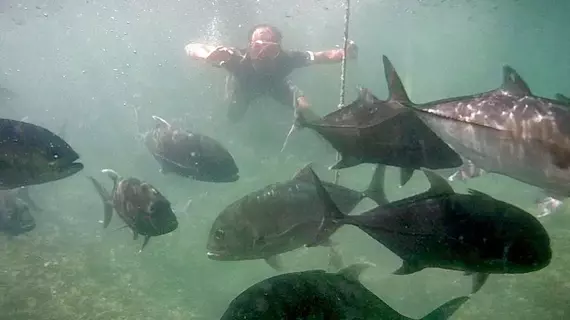 Terapung Hotel & Fish Garden | Kedah - Pulau Batu Merah