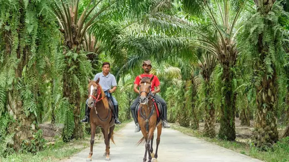 Mangala Resort and Spa | Pahang - Kuantan (ve civarı) - Gambang