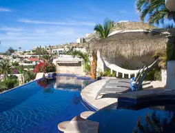 Casa Brisa del Mar | Baja California Sur - Los Cabos - Los Cabos (ve civarı) - Cabo San Lucas - Sunset Plajı - Pedregal