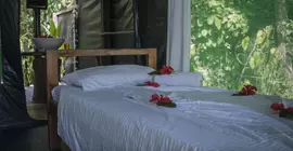 La Leona Eco Lodge | Puntarenas (ili) - Puerto Jimenez