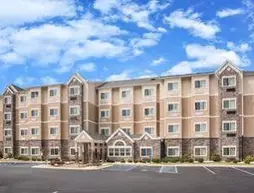 Microtel Inn & Suites by Wyndham Opelika | Alabama - Auburn - Opelika (ve civarı) - Opelika