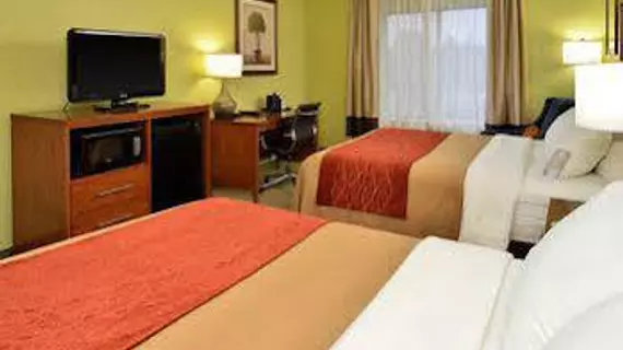 Comfort Inn & Suites Black River Falls | Wisconsin - Black River Şelaleleri (ve civarı) - Black River Şelaleleri