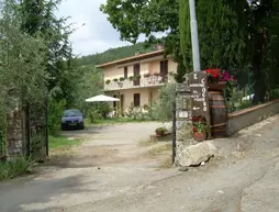 Agriturismo Il Crocino | Toskana - Siena (vilayet) - Gaiole in Chianti