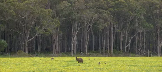 Margaret River Holiday Cottages | Batı Avustralya - Margaret River