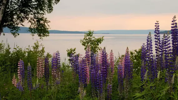 Seaweed and Sod Farm Bed and Breakfast | Nova Scotia - Kempt Head