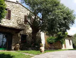 B&B All’Ombra di San Damiano | Umbria - Perugia (vilayet) - Assisi