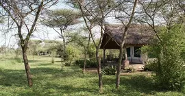 Ikoma Tented Camp | Serengeti Ulusal Parkı