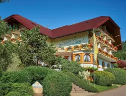 Schwarzwald-Hotel Silberkönig Ringhotel | Baden-Wuerttemberg - Gutach im Breisgau - Bleibach