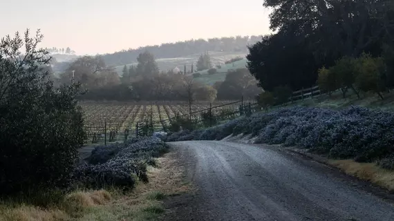 Carriage Vineyards Bed & Breakfast | Kaliforniya - San Luis Obispo (ve civarı) - Templeton