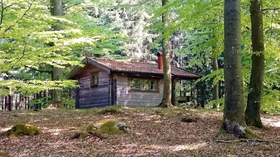 Bokebacken Skogsl | Skane İlçesi - Eslov (ve civarı) - Linderod