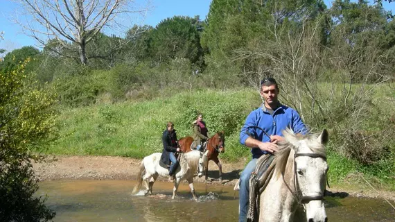 Monte Cabeço do Ouro | Alentejo - Setubal (bölge) - Grandola