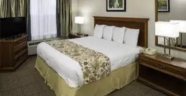 Smart Suites Burlington | Vermont - Burlington (ve civarı) - South Burlington