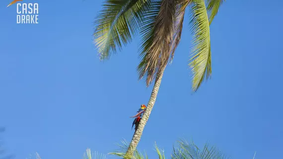 Casa Drake | Puntarenas (ili) - Drake Bay