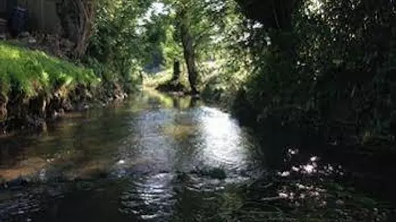 River Garden | Somerset - Yeovil - West Camel