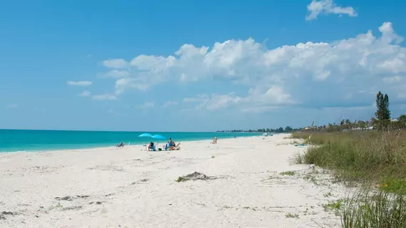 On the Beach Casey Key | Florida - Sarasota (ve civarı) - Nokomis