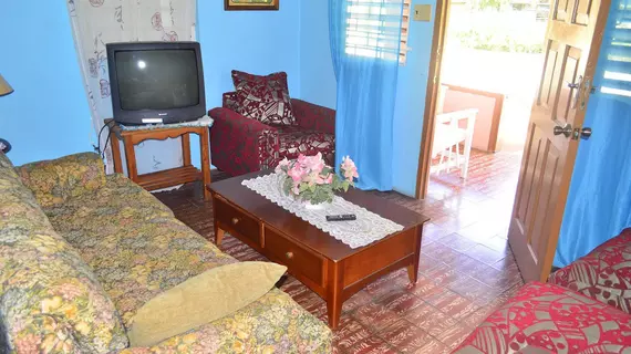 Little Shaw Park Guest House | Saint Ann - Ocho Rios (ve civarı) - Ocho Rios